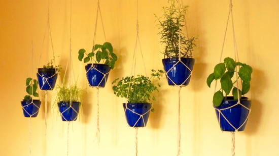 Отглеждане на билки и подправки в интериора – 11 феноменални идеи