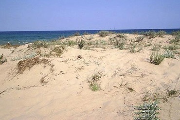 Забраняват бараките и върху дюните далеч от брега