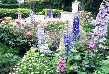 Разноцветна и ароматна английска градина