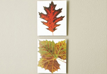Стилни есенни картини за стената