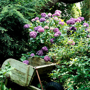 Най-често срещаните елементи в дизайна на двора или градината