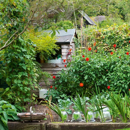 8 лесни идеи за градината