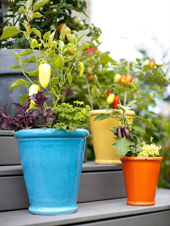 Свежи идеи за градината: отглеждане на зеленчуци в съдове