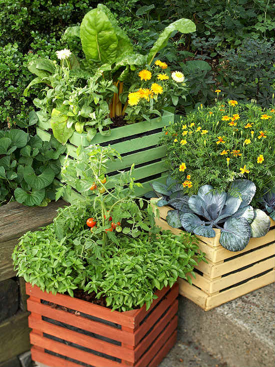 Свежи идеи за градината: отглеждане на зеленчуци в съдове